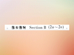 八年級英語上冊 Unit 6 I’m going to study computer science（第4課時）Section B（2a-2e）習(xí)題 （新版）人教新目標(biāo)版