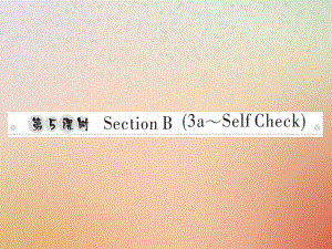 八年級(jí)英語(yǔ)上冊(cè) Unit 7 Will people have robots（第5課時(shí)）Section B（3a-Self Check）習(xí)題 （新版）人教新目標(biāo)版