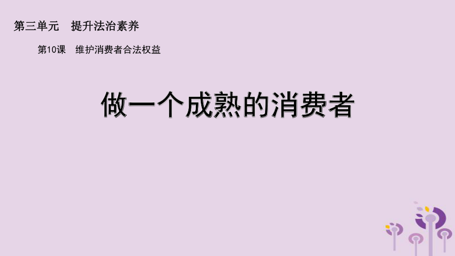 九年級道德與法治上冊 第三單元 提升法治素養(yǎng) 第10課 維護(hù)消費者合法權(quán)益 第3框 做一個成熟的消費者 蘇教版_第1頁