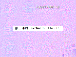 八年級(jí)英語(yǔ)上冊(cè) Unit 9 Can you come to my party（第3課時(shí)）Section B習(xí)題 （新版）人教新目標(biāo)版