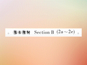 八年級英語上冊 Unit 9 Can you come to my party（第4課時）Section B（2a-2e）習(xí)題 （新版）人教新目標(biāo)版