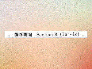 八年級(jí)英語(yǔ)上冊(cè) Unit 8 How do you make a banana milk shake（第3課時(shí)）Section B（1a-1e）習(xí)題 （新版）人教新目標(biāo)版