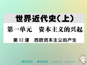 九年級歷史上冊 第五單元 資本主義的興起 第十二課 西歐資本主義的產(chǎn)生 川教版