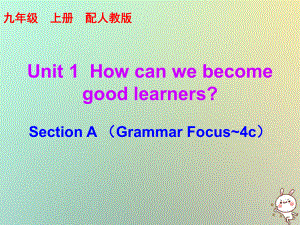 九年級(jí)英語(yǔ)全冊(cè) 10分鐘課堂 Unit 1 How can we become good learners Section A（Grammar Focus-4c） （新版）人教新目標(biāo)版