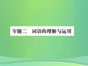 九年級語文上冊 期末專題二 詞語的理解與運用習(xí)題 新人教版