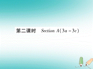 九年級英語全冊 Unit 5 What are the shirts made of（第2課時）Section A（3a-3c）作業(yè) （新版）人教新目標(biāo)版