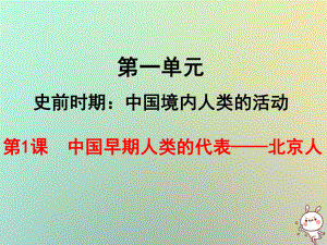 七年級(jí)歷史上冊(cè) 第1課 中國(guó)早期人類的代表—北京人 新人教版