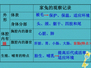 七年級生物下冊 第10章 水中的生物 （新版）蘇科版