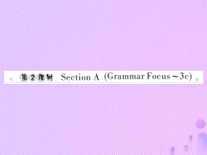 七年級(jí)英語上冊(cè) Unit 7 How much are these socks（第2課時(shí)）Section A（Grammar Focus-3c）習(xí)題 （新版）人教新目標(biāo)版