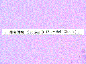 七年級英語上冊 Unit 3 Is this your pencil（第4課時）Section B（3a-Self Check）習(xí)題 （新版）人教新目標版