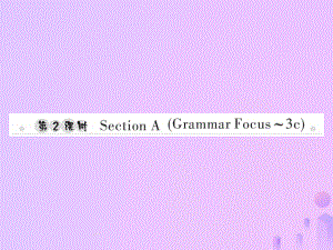 七年級英語上冊 Unit 9 My favorite subject is science（第2課時）Section A（Grammar Focus-3c）習(xí)題 （新版）人教新目標(biāo)版