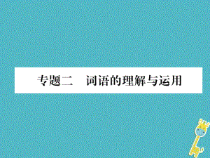 七年級(jí)語文上冊(cè) 專題2 詞語的理解與運(yùn)用習(xí)題 新人教版