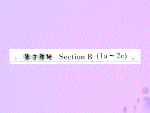 七年級(jí)英語上冊(cè) Unit 7 How much are these socks（第3課時(shí)）Section B（1a-2c）習(xí)題 （新版）人教新目標(biāo)版