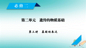 生物第二單元 遺傳的物質(zhì)基礎(chǔ) 第3講 基因的表達(dá) 新人教版必修2