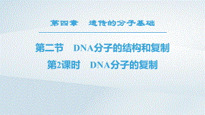 生物 第4章 遗传的分子基础 第2节 DNA的结构和DNA的复制 第2课时 DNA分子的复制 苏教版必修2