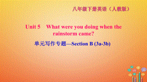 八年級英語下冊 Unit 5 What were you doing when the rainstorm came寫作—Section B(3a-3b)習題 （新版）人教新目標版