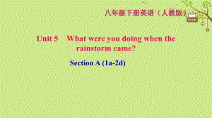 八年級英語下冊 Unit 5 What were you doing when the rainstorm came Section A(1a-2d)習題 （新版）人教新目標版