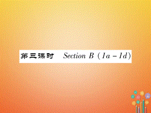 七年級(jí)英語(yǔ)下冊(cè) Unit 11 How was your school trip（第3課時(shí)）Section B（1a-1d）習(xí)題 （新版）人教新目標(biāo)版