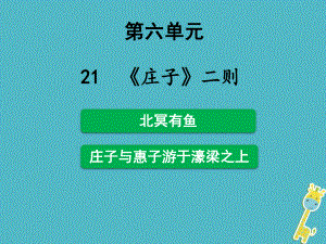 八年級(jí)語(yǔ)文下冊(cè) 21《莊子》二則 新人教版