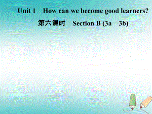 九年級英語全冊 Unit 1 How can we become good learners（第6課時）Section B（3a-3b） （新版）人教新目標(biāo)版