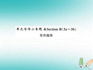 九年級英語全冊 Unit 8 It must belong to Carla寫作小專題習(xí)題 （新版）人教新目標(biāo)版