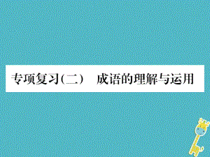 九年級語文上冊 專項二 詞語的理解與運用習(xí)題 新人教版