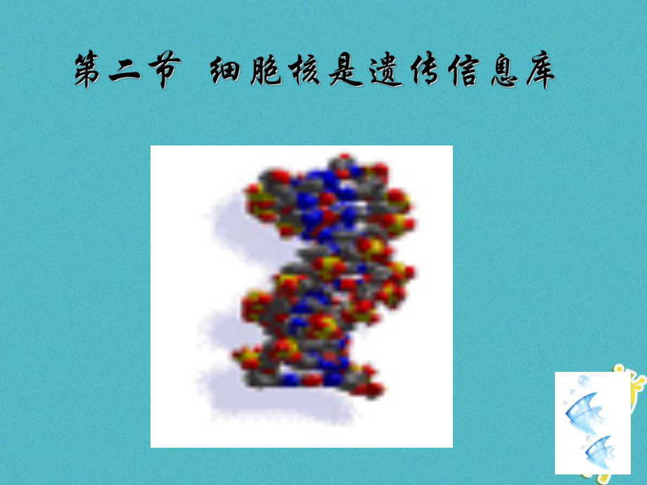 七年級生物上冊 第二單元 第二章 第二節(jié)《細胞核是遺傳信息庫》2 （新版）新人教版_第1頁