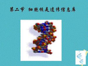 七年級生物上冊 第二單元 第二章 第二節(jié)《細(xì)胞核是遺傳信息庫》2 （新版）新人教版