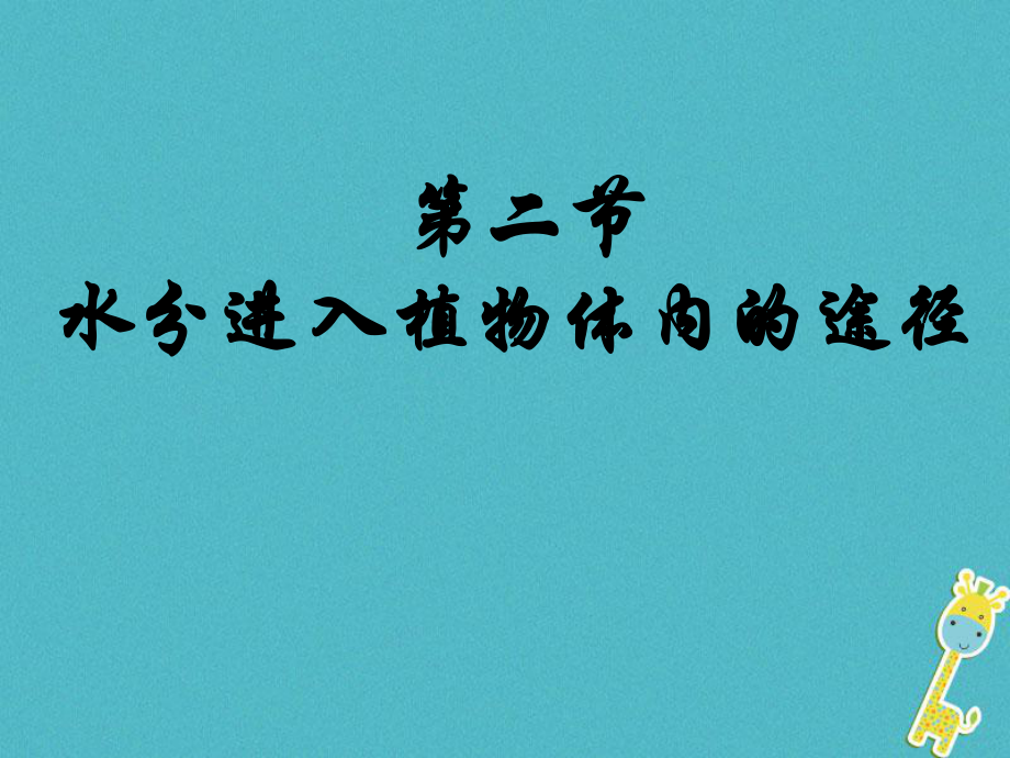 七年級生物上冊 第三單元 第三章《水分進(jìn)入植物體內(nèi)的途徑》 （新版）新人教版_第1頁