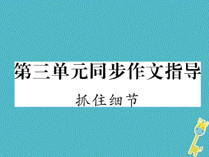 七年級(jí)語文下冊(cè) 第3單元同步作文指導(dǎo) 抓住細(xì)節(jié) 新人教版