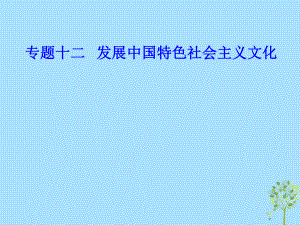 政治專題十二 發(fā)展中國特色社會主義文化 2 在文化生活中選擇