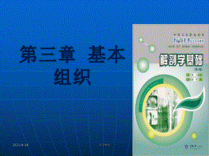 《解剖學(xué)基礎(chǔ)》第三章 基本組織PPT課件12