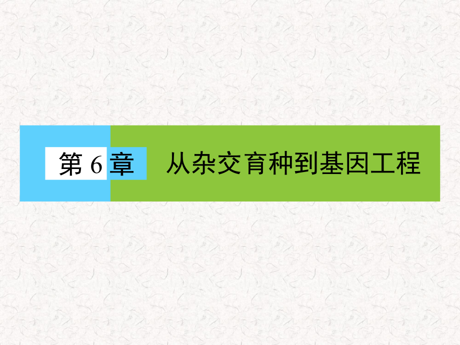 2021-2022高中生物 第6章 第1節(jié) 雜交育種與誘變育種_第1頁(yè)