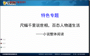 202X全程復(fù)習(xí)高考語(yǔ)文（蘇教版）一輪復(fù)習(xí)配套特色專題：尺幅千里說(shuō)世相百態(tài)人物道生活——小說(shuō)整體閱讀