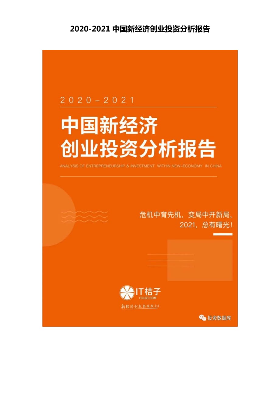 2020-2021中國(guó)新經(jīng)濟(jì)創(chuàng)業(yè)投資分析報(bào)告_第1頁