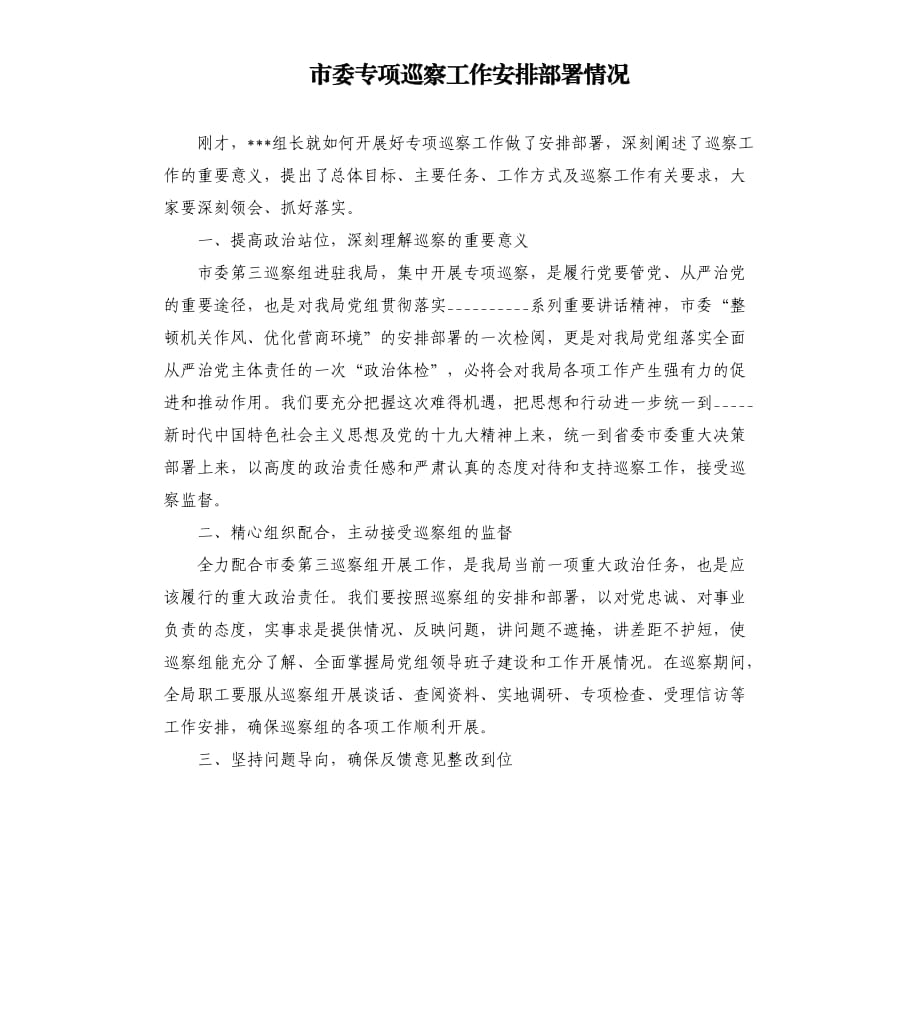 市委专项巡察工作安排部署情况.docx_第1页