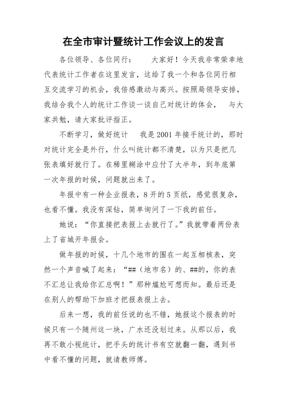 在全市审计暨统计工作会议上的发言_第1页