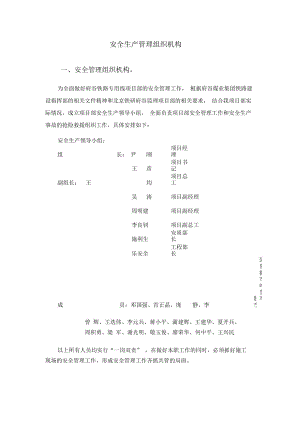 安全組織機(jī)構(gòu)圖