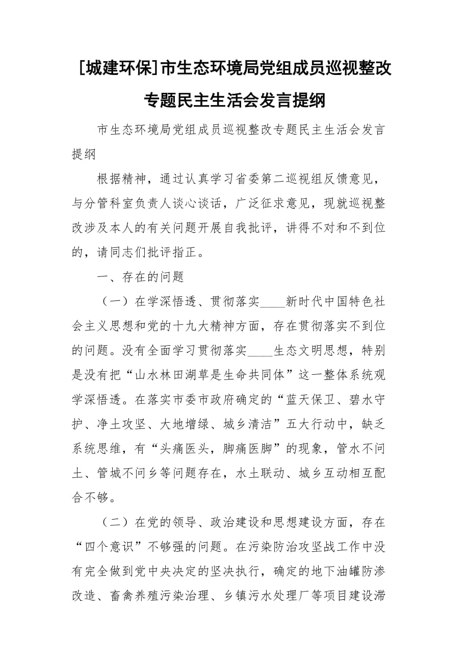 [城建环保]市生态环境局党组成员巡视整改专题民主生活会发言提纲_第1页