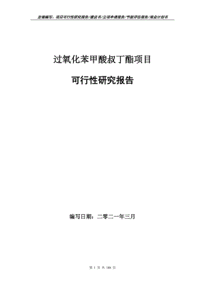 过氧化苯甲酸叔丁酯项目可行性研究报告立项申请