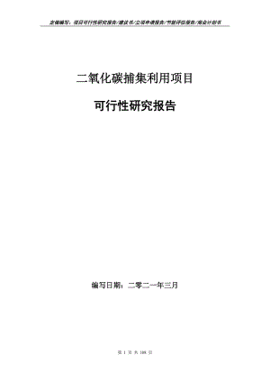 二氧化碳捕集利用項目可行性研究報告立項申請