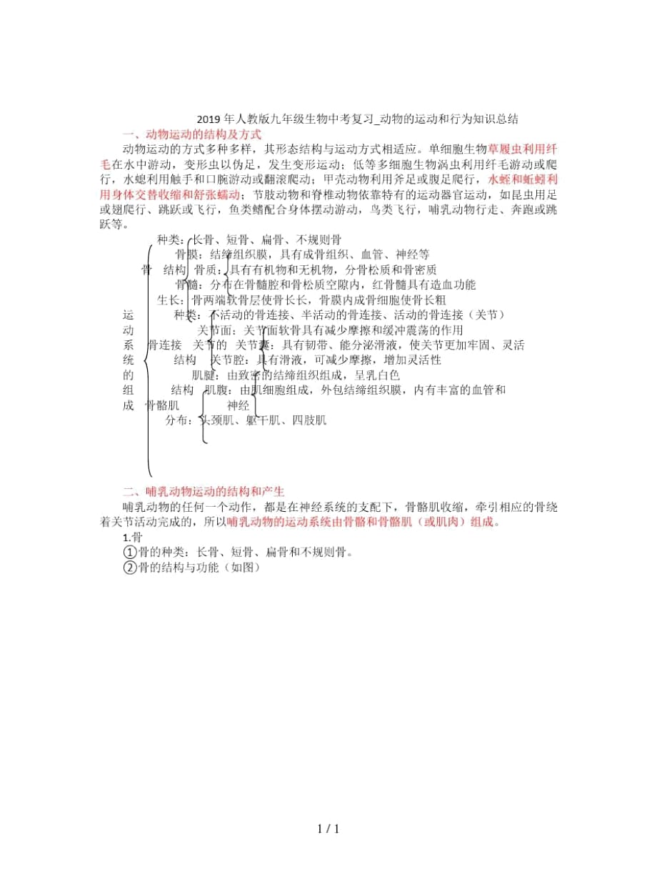 人教版九年级生物中考复习_动物的运动和行为知识总结_第1页