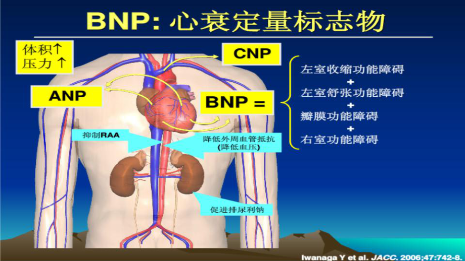 BNP在心衰诊断和治疗的临床应用现状PPT学习课件_第1页