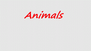 animals_动物_小学趣味英语课PPT课件