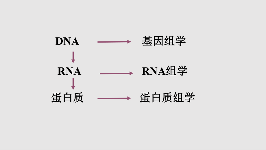 RNA组学PPT课件_第1页