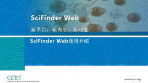 scifinder网页使用说明PPT课件