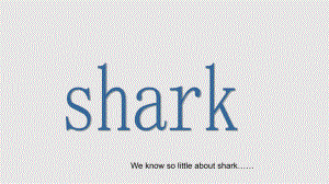 Protectsharks保护鲨鱼英语课堂演讲PPT学习课件