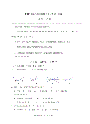 湖北省武漢江漢區(qū)2009年春七年級數(shù)學下冊期中調(diào)研考試人教版