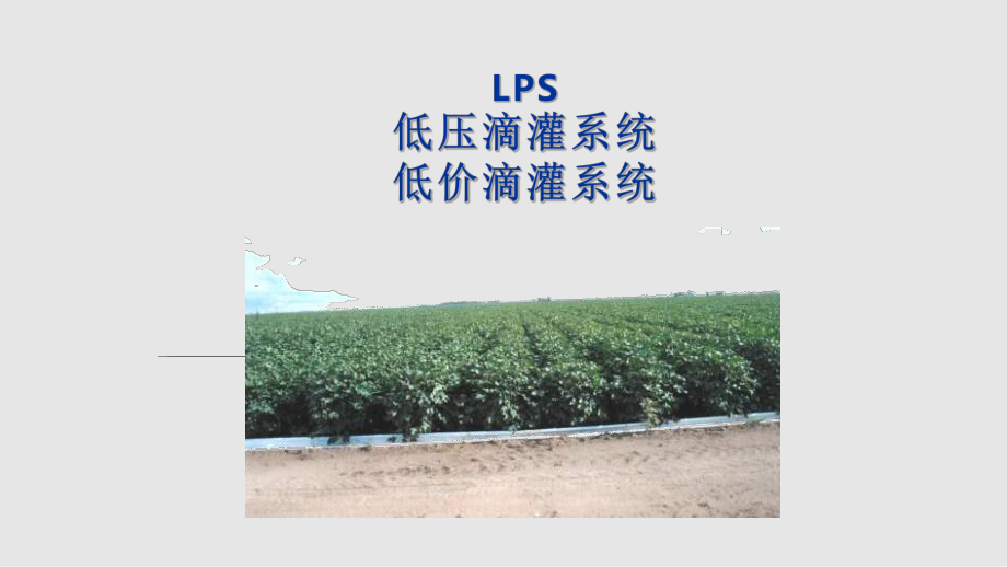 LPS低压滴灌系统精讲_第1页