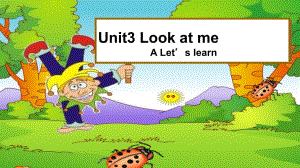 PEP小学英语三年级上册Unit3LookatMePartAPPT课件